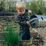 Top Gardening Trends for 2025: Sustainability Meets Style